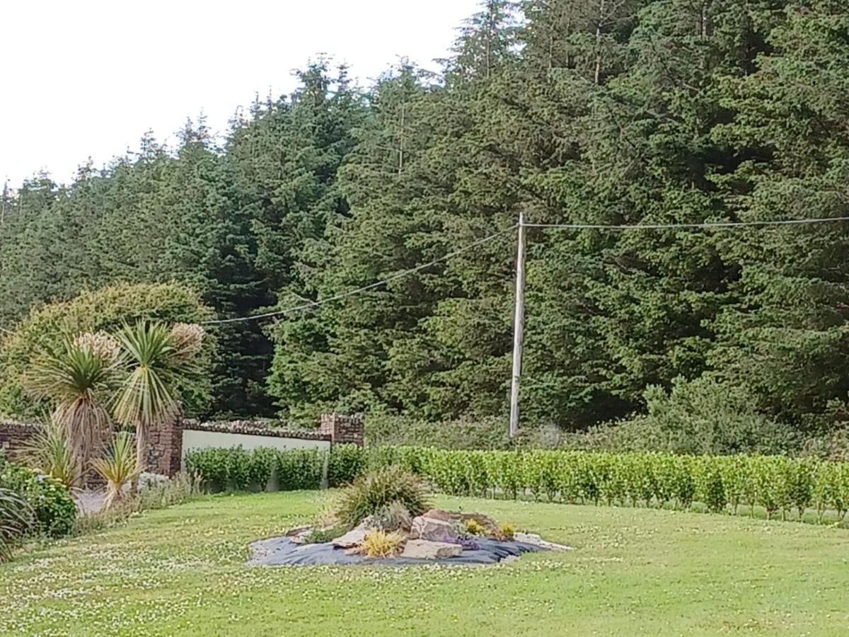 باندون Ashburnum Cottage المظهر الخارجي الصورة